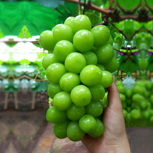 Ե-